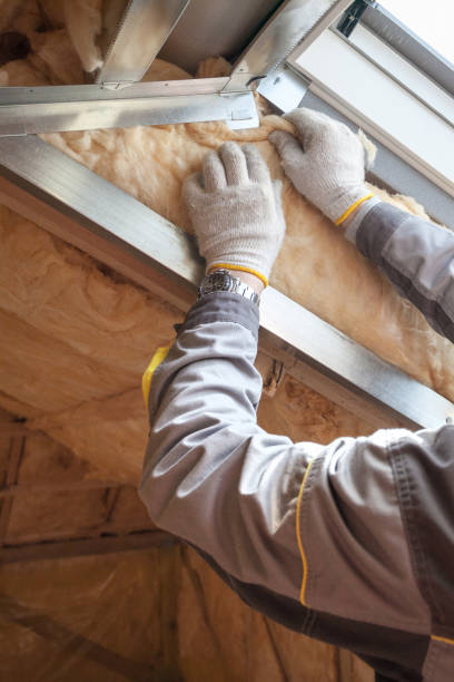 Best Cellulose Insulation in Norlina, NC